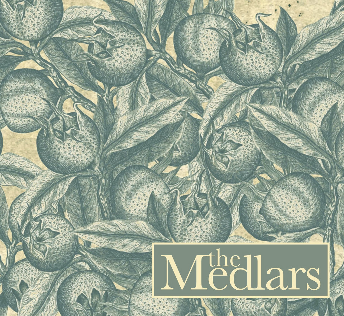 The Medlars