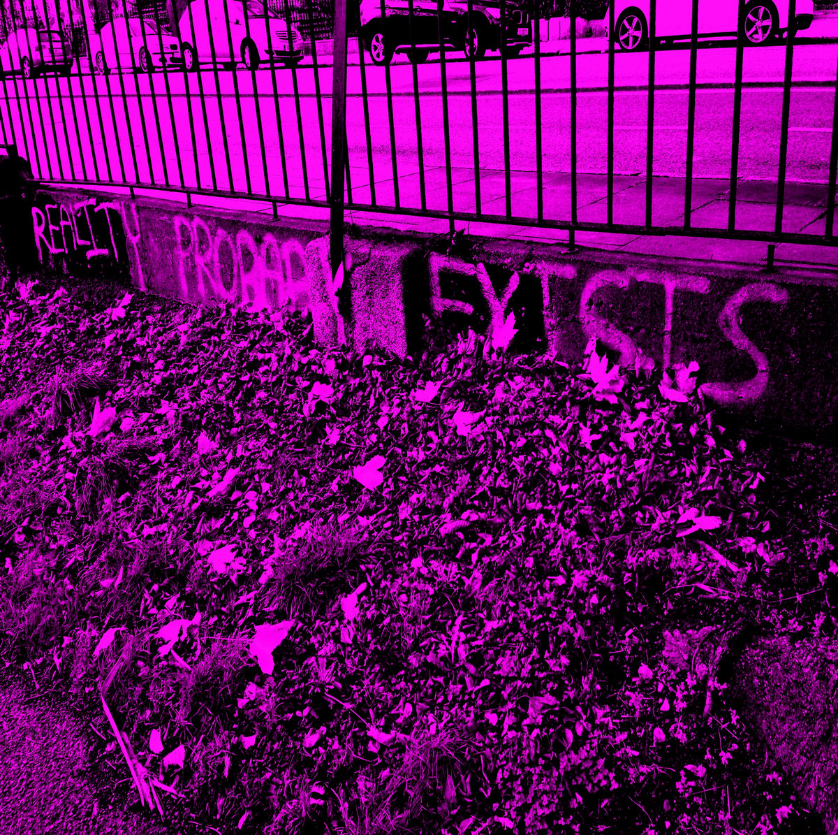 The Haunts II: Reality Probably Exists cover