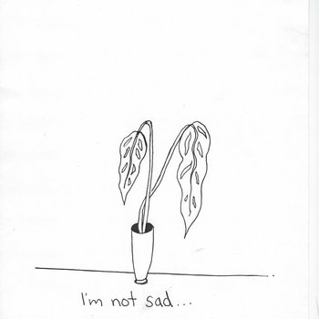 I'm not sad...