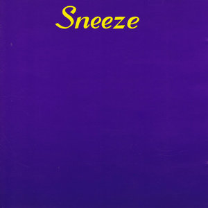 Sneeze (41 Songs in 47 minutes) cover