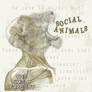 The Timely Tragedy — Social Animals