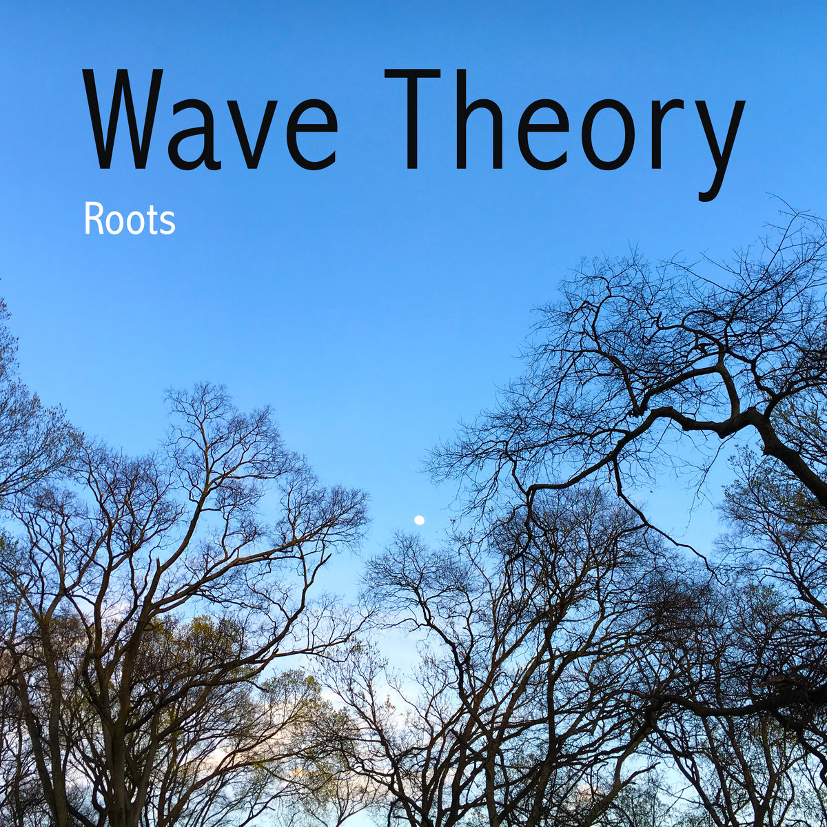 Roots EP | Wave Theory