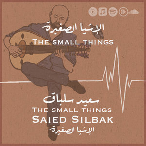 The small things cover