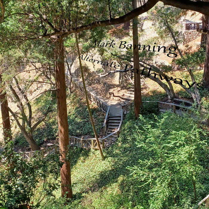 Alternate Pathways Mark Banning