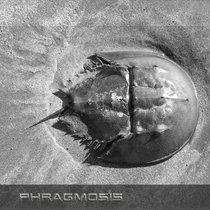 PHRAGMOSIS cover art