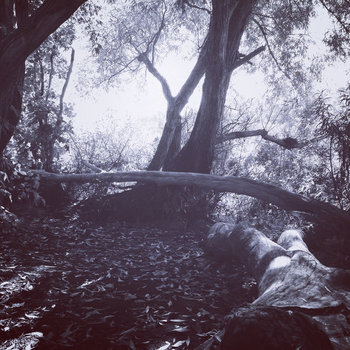 Album artwork for Usures