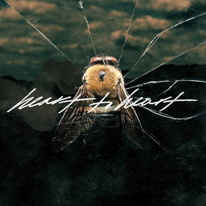 Heart to Heart | Heart to Heart | Anchor Eighty Four