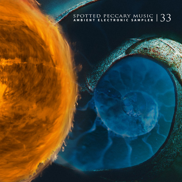 33 free ambient electronic sampler Spotted Peccary Artists