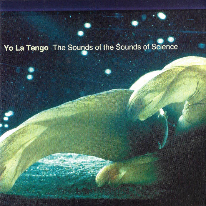 The Sounds of the Sounds of Science | Yo La Tengo