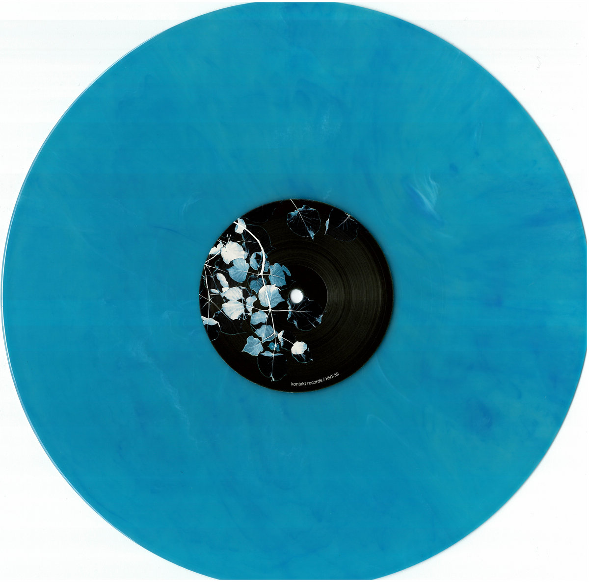 Bluetrain - Frozen Rose | Kontakt Records