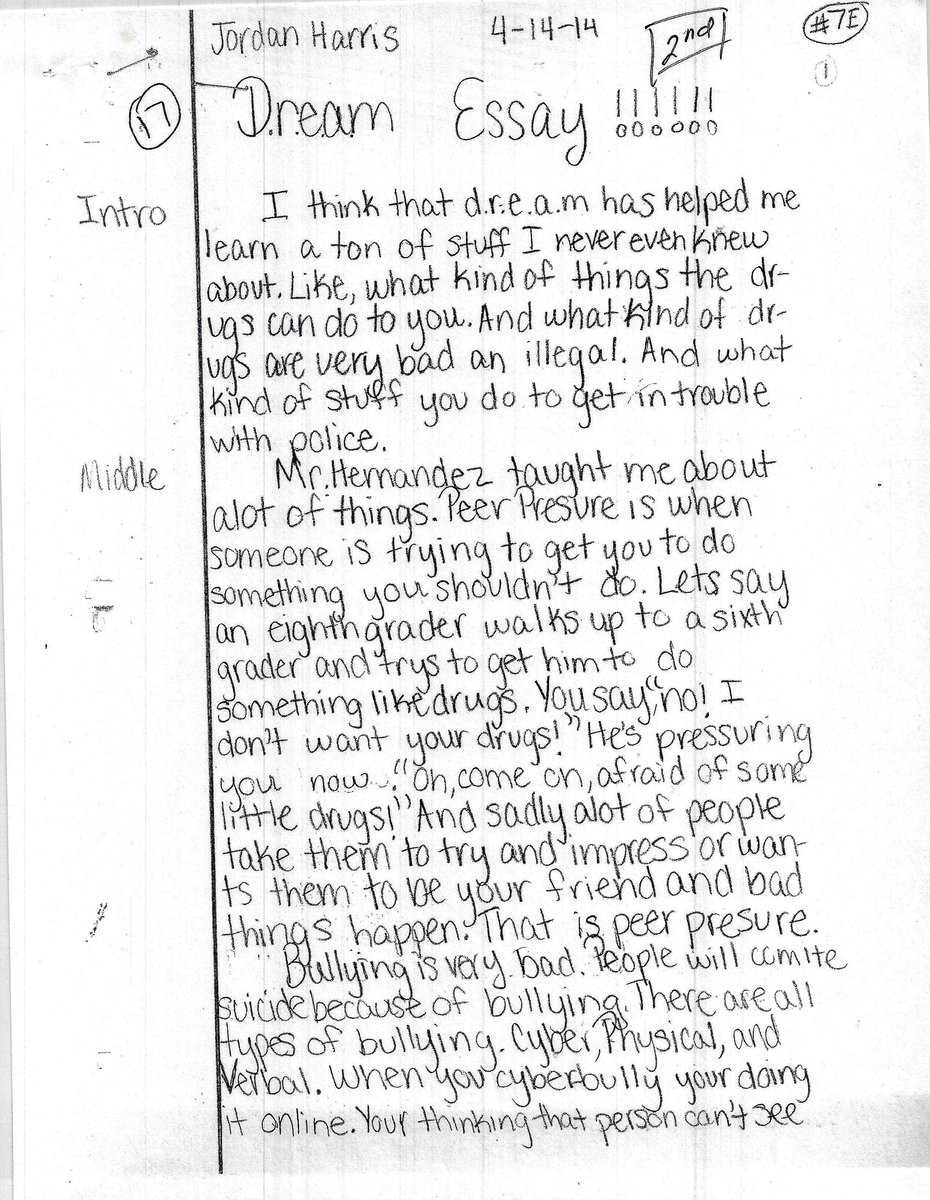 Japanese internment essay