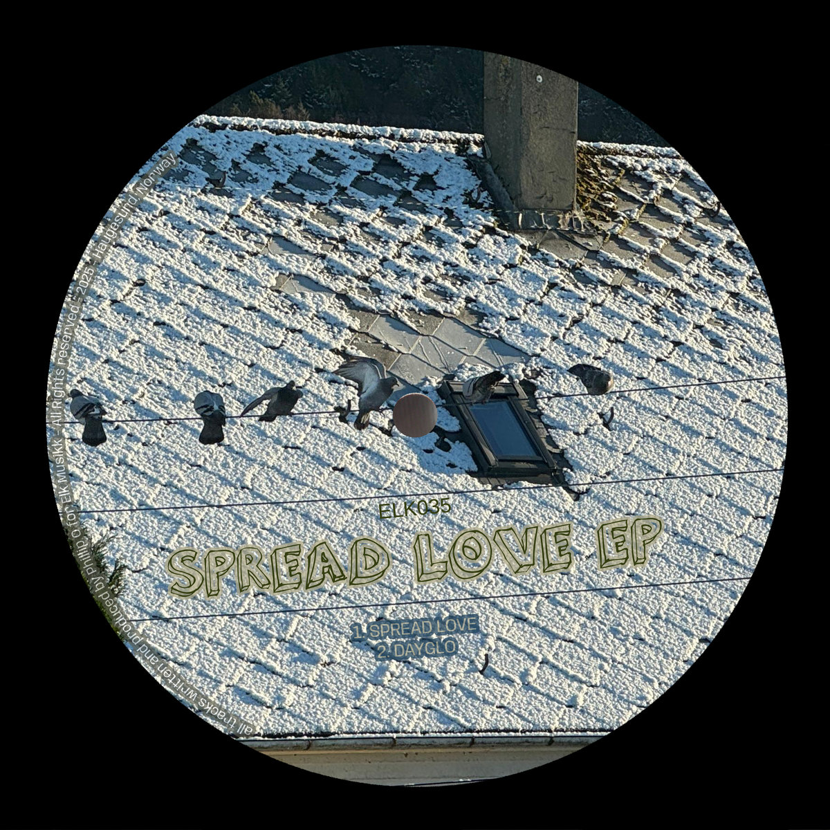 Neste generasjons verdiskapere: Eirik Aalvik Stranden | Kvant, image size:1200x1200