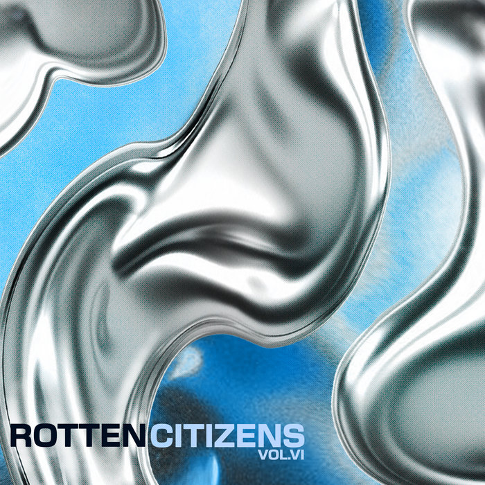 Rotten Citizens Vol. 6 | VVAA | Rotten City Records