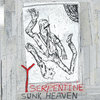 Y Serpentine Cover Art