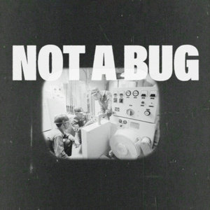 Not A Bug cover