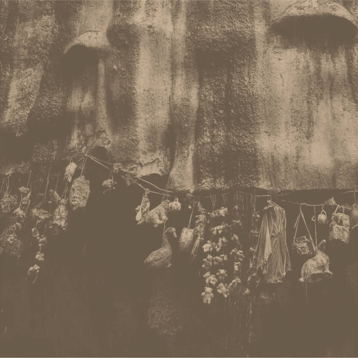 HEKATE’S VOICES
von Ed Cooper