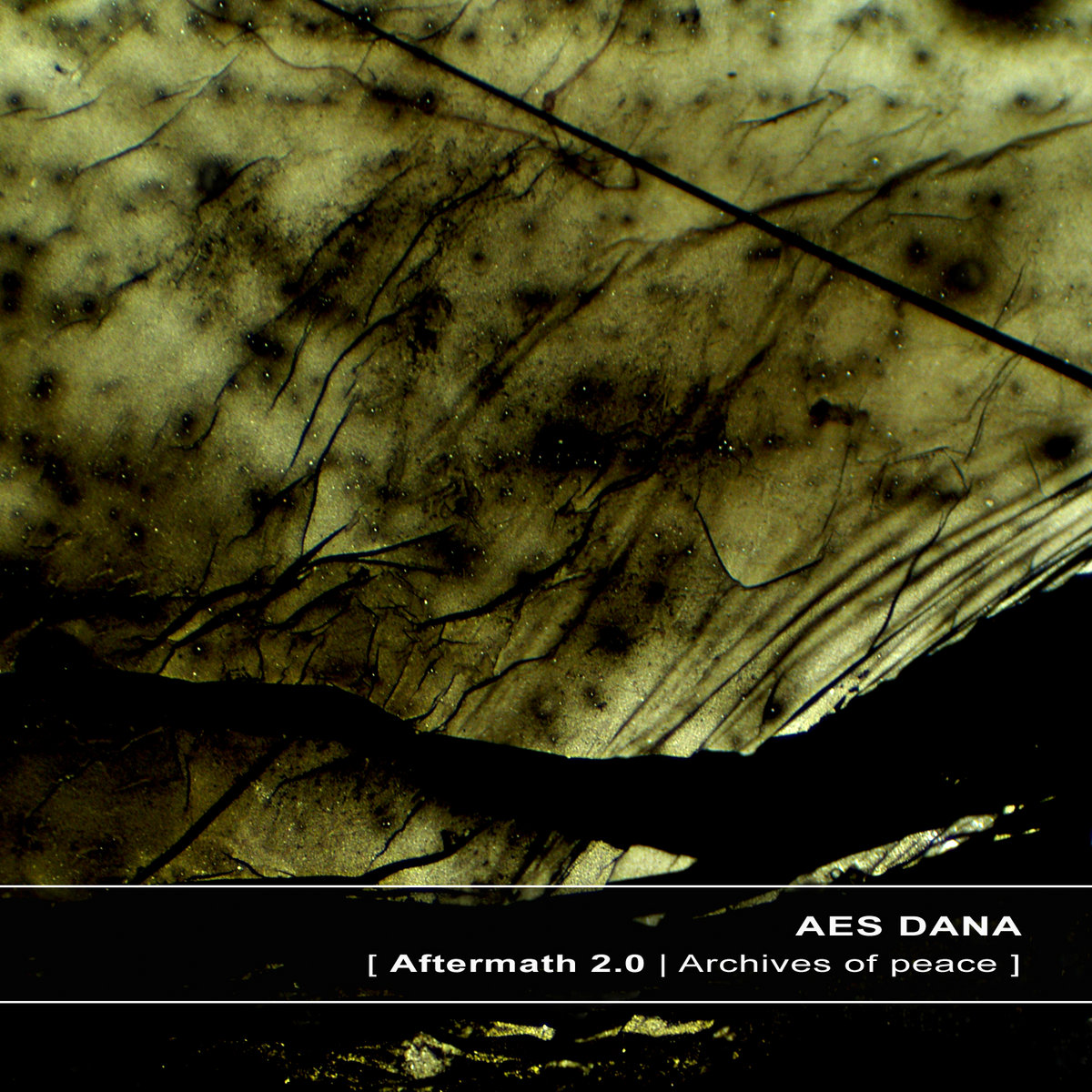 aftermath 2 0 archives of peace ultimae