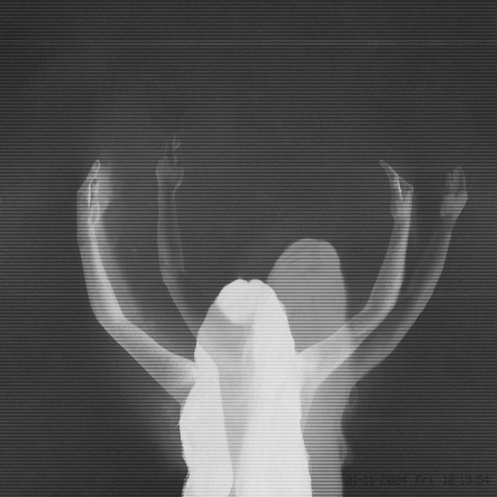 6 AM Carpet Candlelight, by Julie's Haircut