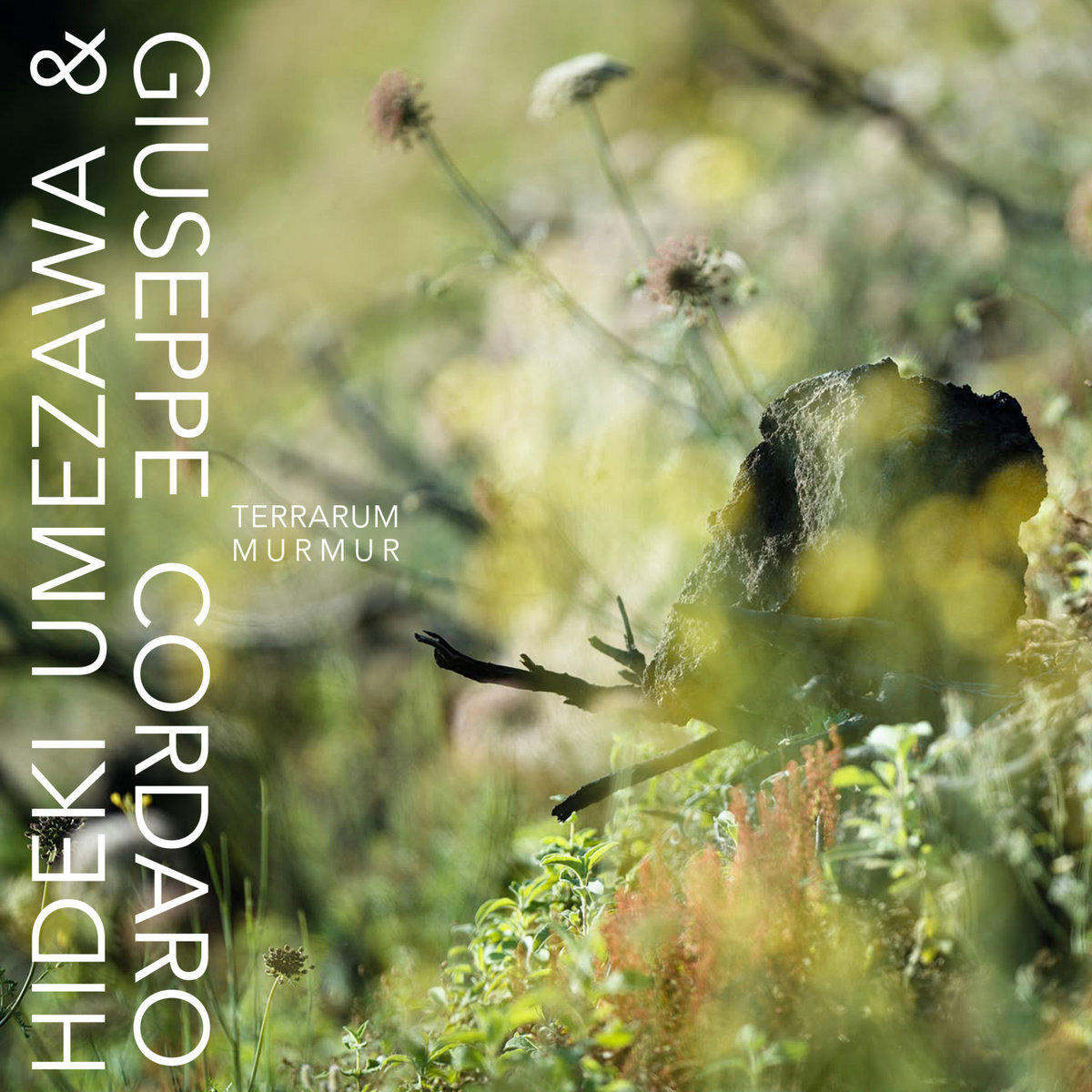 Terrarum Murmur | Hideki Umezawa & Giuseppe Cordaro