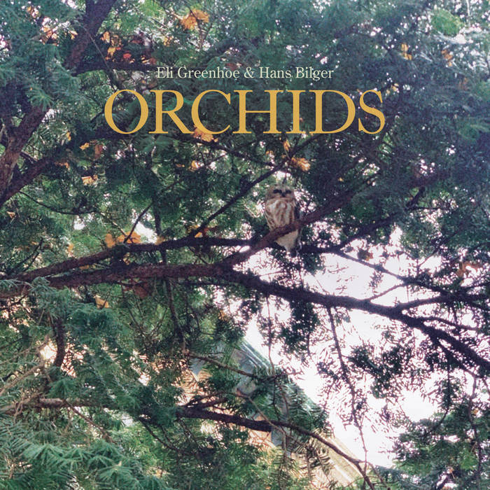Orchids
von Eli Greenhoe and Hans Bilger