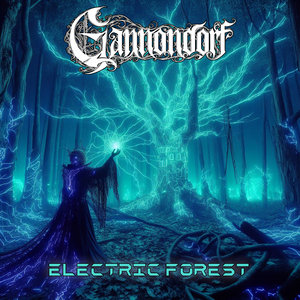 Electric Forest cover