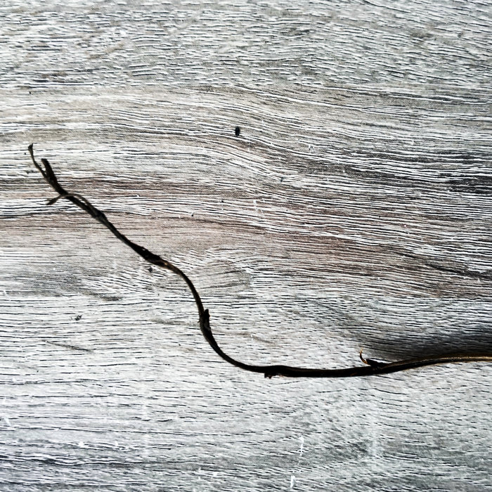 Slow Path | Goh Lee Kwang