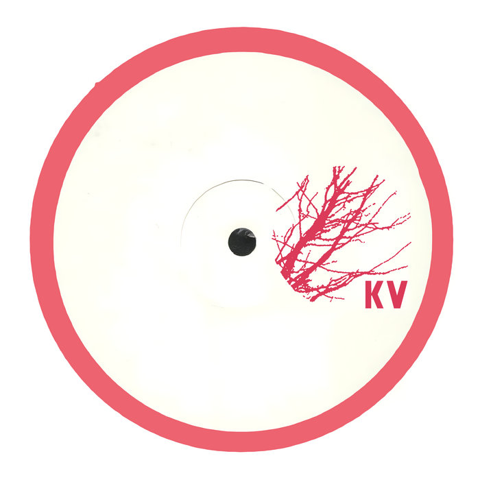 Pochette de A Hallucinatory Forest par POD, Edward Richards