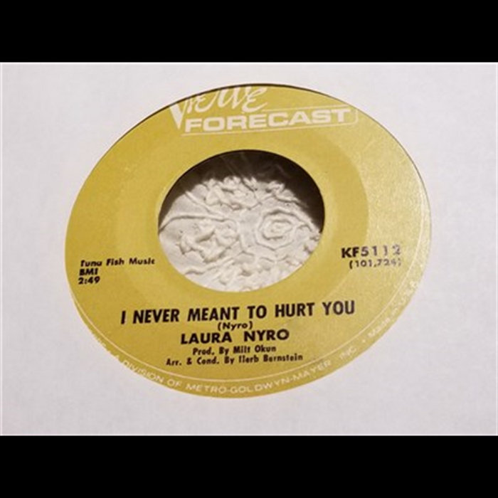 I Never Meant To Hurt You | Laura Nyro