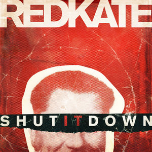 Shut It Down (single version) cover