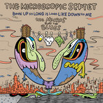 Been Up So Long It Looks Like Down to Me: The Micros Play the Blues