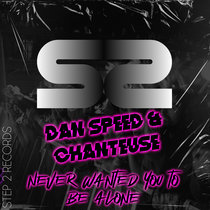 Dan Speed & Chanteuse - Never Wanted You To Be Alone cover art