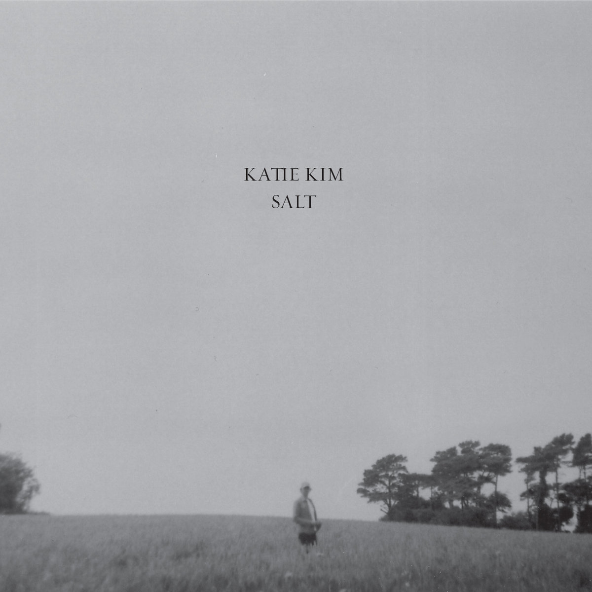 SALT cover