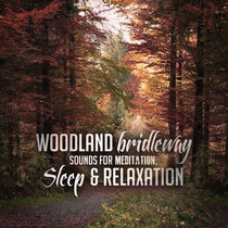 Woodland Bridleway Sounds for Meditation, Sleep & Relaxation cover art