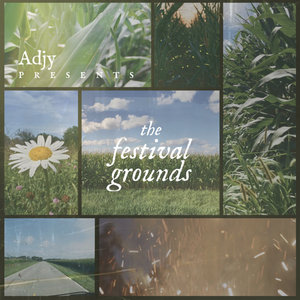 The Festival Grounds cover