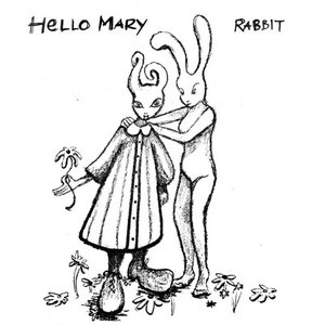 Rabbit cover