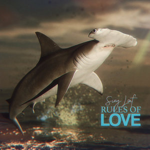 Rules Of Love cover