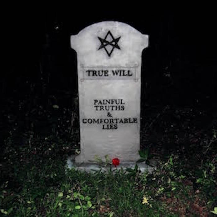 True wills. Miho karasawa 唐沢 美帆 дискография. True wills. True will. True will.