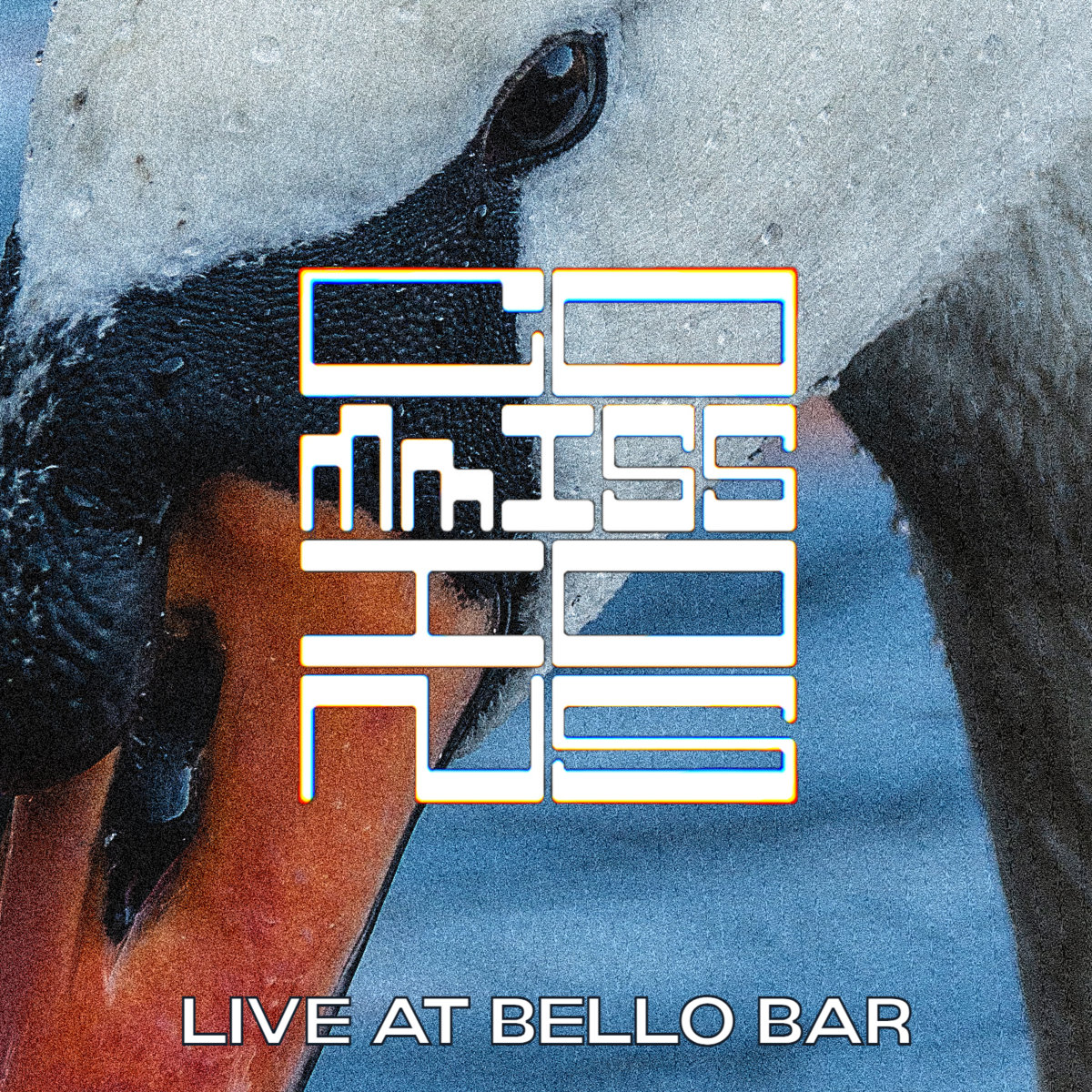Live at BelloBar cover