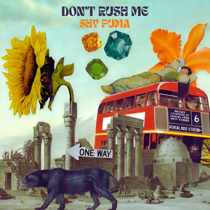 DON'T RUSH ME SHY PUMA