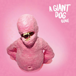 Bone cover