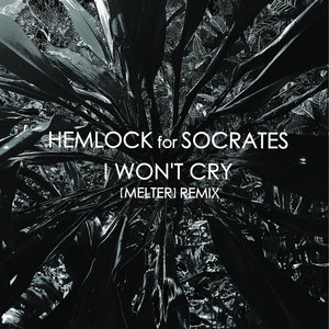 I Won't Cry - [melter] Remix cover