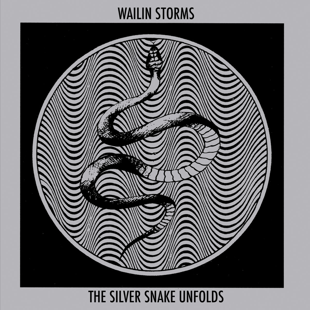 The Silver Snake Unfolds | Wailin Storms | Gilead Media