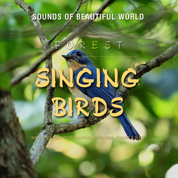 【中古】 Singing Birds Nature’sRelaxingSounds UnisonSeries Bird Songs - 8 HOURS of Birds Singing in the Forest - Nature