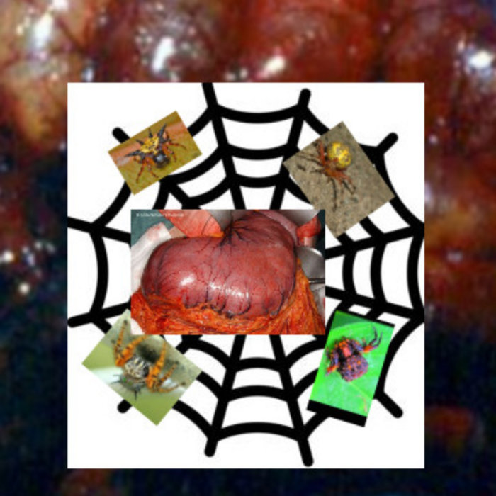 Shadows of the Deep: Revealing the Fearless Reptiles Living in Complete Darkness