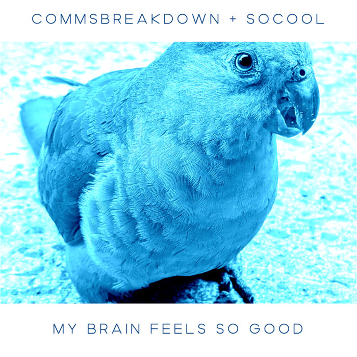My Brain Feels So Good (CommsBreakdown Mix), by CommsBreakdown + Socool