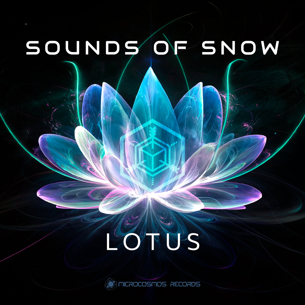 Lotus (24 bit) | Sounds Of Snow | Microcosmos Chill-out