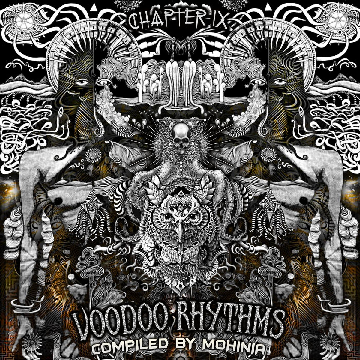 VOODOO RHYTHMS (chapter 9) | Various Artists | Voodoo Hoodoo Records