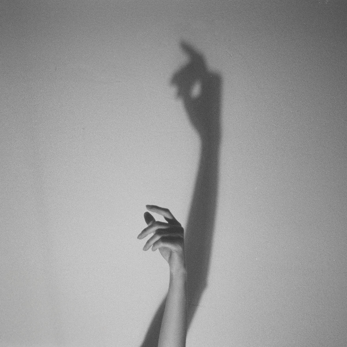 Shadow Dance cover