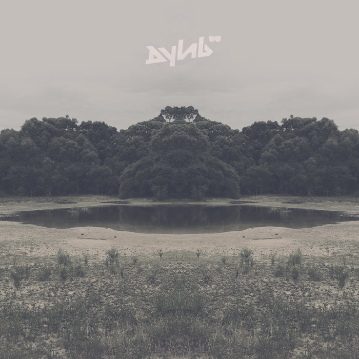 A King Without A Castle, by Dylab