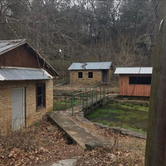 too many car rides not enough sunlight Charlie Puke